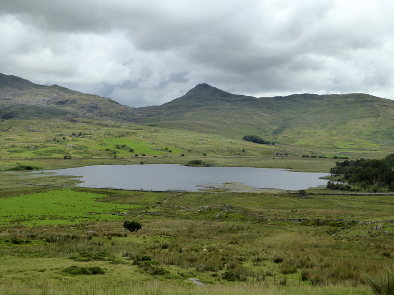 Llyn-y-Gader